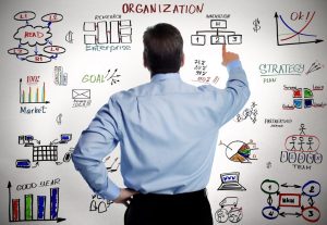 What organizations need in order to be creative?