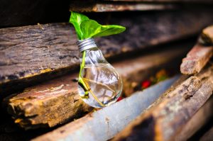 Encourage Creativity and Innovation
