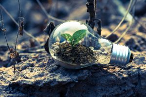 How To Be Your Best With A Growth Mindset