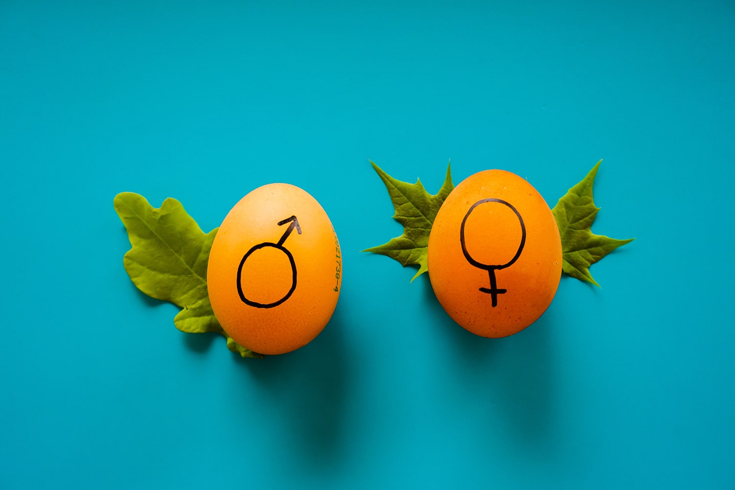 Watch Out for these Gender Bias Signs